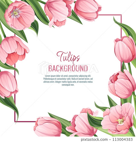 Template for greeting card, banner with pink tulips. Spring background for International Women s Day, March 8. Frame with delicate spring flowers. Template for greeting card, banner with pink tulips. Spring background for International Women s Day, March 8. Frame with delicate spring flowers. 113004383