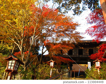 大禪寺秋葉1 大禪寺秋葉1 113004449