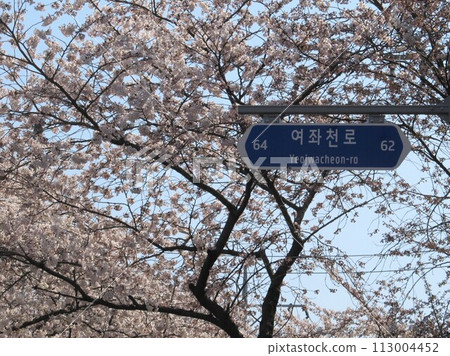 與佐川的櫻花 與佐川的櫻花 113004452