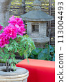 Japanese garden and peony flowers 113004493