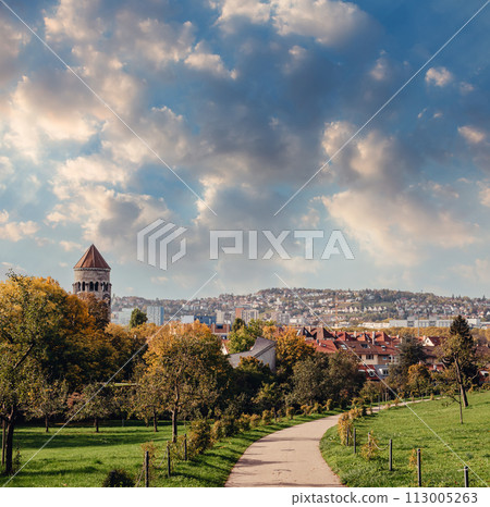 Germany, Stuttgart panorama view. Beautiful houses in autumn, Sky and nature landscape. Vineyards in Stuttgart - colorful wine growing region in the south of Germany with view over Neckar Valley 113005263