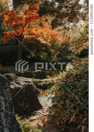 Beautiful calm scene in spring Japanese garden. Japan autumn image. Beautiful Japanese garden with a pond and red leaves. Pond in a Japanese garden. Beautiful calm scene in spring Japanese garden. Japan autumn image. Beautiful Japanese garden with a pond and red leaves. Pond in a Japanese garden. 113005266