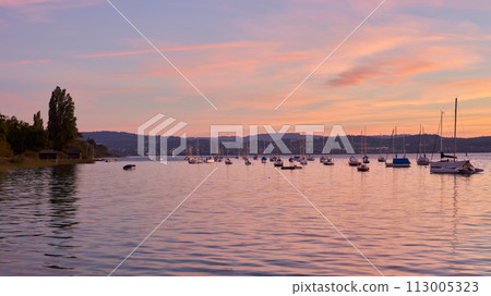 Bodensee Lake Sunrise Panorama. Morning Sunlight Over Tranquil Waters. 113005323