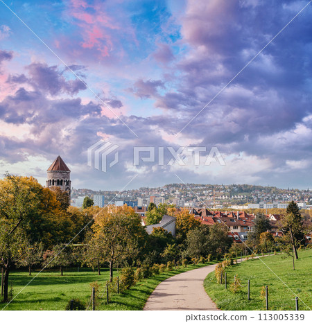 Germany, Stuttgart panorama view. Beautiful houses in autumn, Sky and nature landscape. Vineyards in Stuttgart - colorful wine growing region in the south of Germany with view over Neckar Valley 113005339