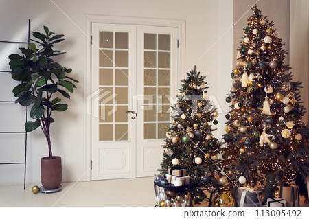 Stylish interior with Christmas trees, gifts, plant Ficus lyrata, garland, string lights, balls, door, ladder. Background with copy space. Template, mock up for your design, items, art, decor. 113005492