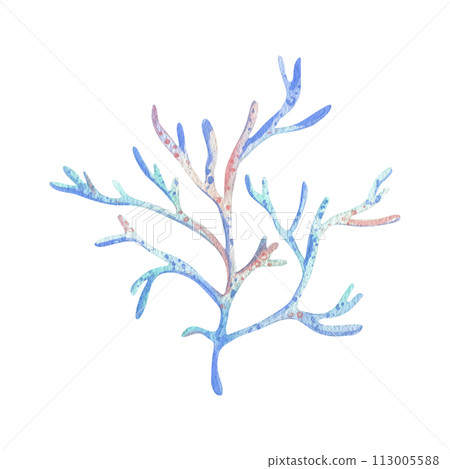 A branch of sea coral with many branches, thin and graceful. Watercolor illustration hand drawn with pastel colors turquoise, blue, mint, coral, peach. Element isolated from background. 113005588