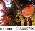 Autumn leaves reflected in the mirror 113005750