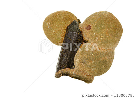 Macro stone Prehnite mineral on white background Macro stone Prehnite mineral on white background 113005793