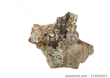 Macro stone mineral Actinolite on a white background Macro stone mineral Actinolite on a white background 113005813