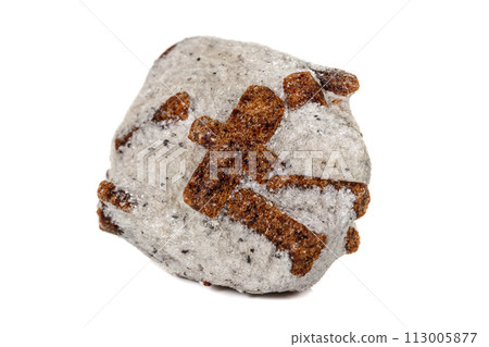 macro mineral stone Staurolite on a white background 113005877
