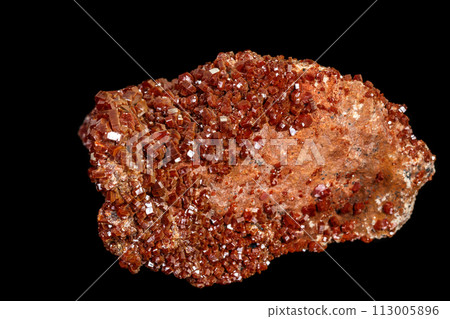 Macro mineral stone Vanadinite on a black background Macro mineral stone Vanadinite on a black background 113005896