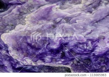 Macro stone Charoite mineral on a black background 113005963