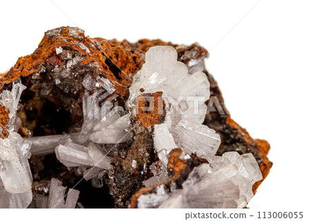 Macro mineral stone crystals Hemimorphite rock on a white background 113006055