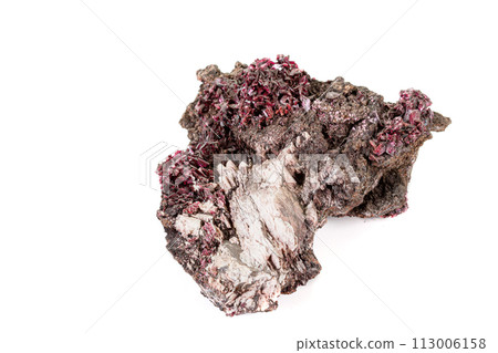 Macro stone Erythrite mineral on white background 113006158