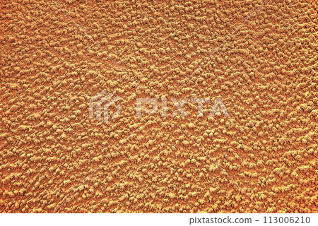 beige decorative plaster in close-up as a background beige decorative plaster in close-up as a background 113006210