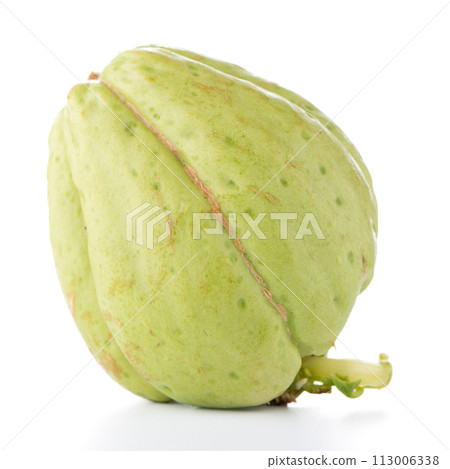 Chayote Chayote 113006338