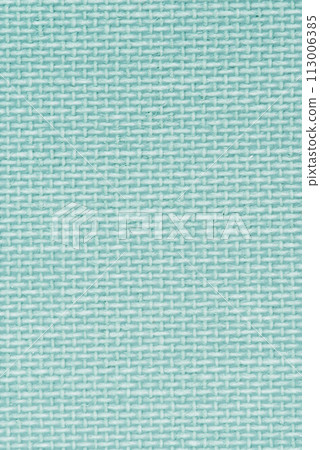Green vinyl texture 113006385