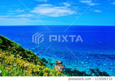 夏季從北海道積丹半島神威岬看到的壯麗景色 113006710