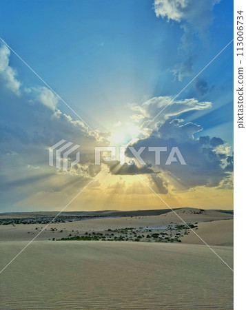Sunset in the desert, Qatar 113006734