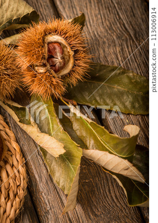 Roasted chestnuts and leaves 113006914
