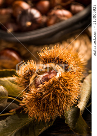 Roasted chestnuts and leaves Roasted chestnuts and leaves 113006922