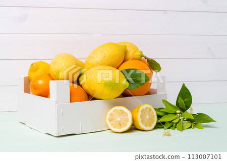 Citrus fresh fruits Citrus fresh fruits 113007101