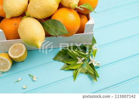 Citrus fresh fruits 113007142