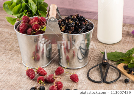 Metal buckets with fresh berries 113007429