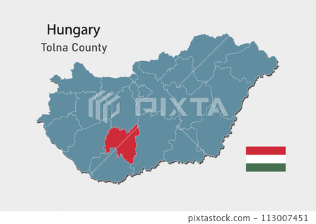 Vector map Hungary, county Tolna 113007451