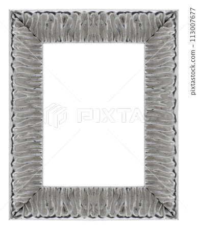 Stylish Silver Frame 113007677