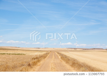 Castile and Leon region rural landscape, Spain Castile and Leon region rural landscape, Spain 113007793