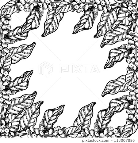 A frame made of coffee tree branches, black and white vector graphics, hand-drawn. Illustration on a white background. For banners, flyers and menus. For packaging, labels and postcards. 113007886