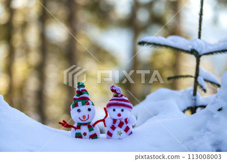 Two small funny toys baby snowman in knitted hats and scarves in deep snow outdoors near pine tree branch. Happy New Year and Merry Christmas greeting card. 113008003