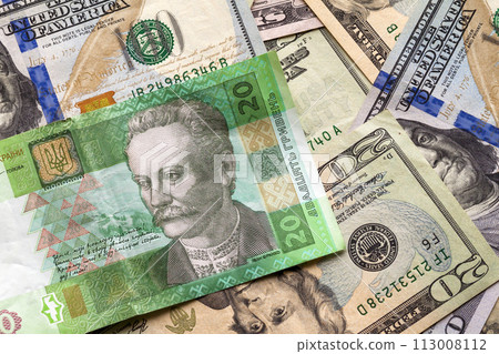 Money and finances concept. Ukrainian national currency bill wor Money and finances concept. Ukrainian national currency bill wor 113008112