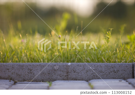 Closeup of pavement curb with green grass lawn behind. Closeup of pavement curb with green grass lawn behind. 113008152