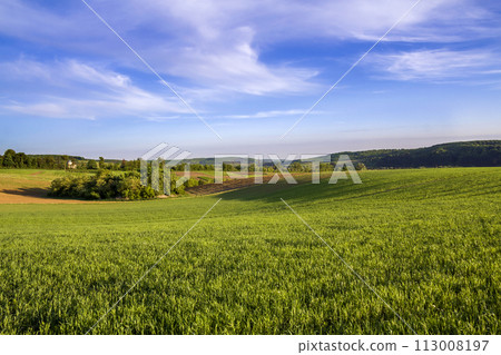 Beautiful wide panorama of plowed and green fields with growing wheat under clear bright blue sky on peaceful village and distant hills covered with forest background. Agriculture and farming concept. 113008197
