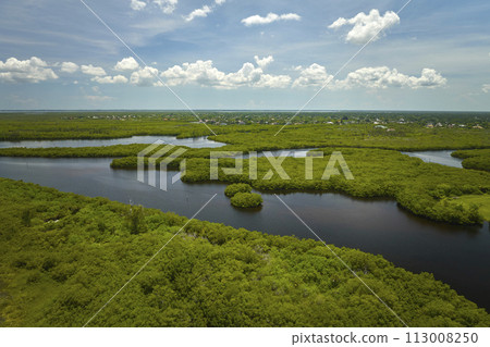 Aerial view of Florida wetlands with green vegetation between ocean water inlets. Natural habitat of many tropical species Aerial view of Florida wetlands with green vegetation between ocean water inlets. Natural habitat of many tropical species 113008250
