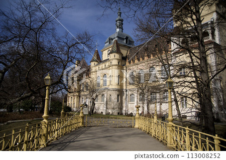 BUDAPEST, HUNGARY - 04 MAR 2019: The famous Vajdahunyad Castle in the City Park of Budapest viewed from a bridge 113008252