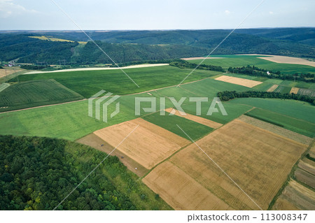Aerial landscape view of green and yellow cultivated agricultural fields with growing crops on bright summer day Aerial landscape view of green and yellow cultivated agricultural fields with growing crops on bright summer day 113008347