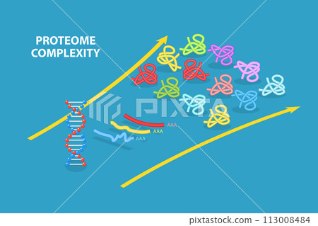 3D Isometric Flat Vector Illustration of Proteome Complexity, Proteins Studying 3D Isometric Flat Vector Illustration of Proteome Complexity, Proteins Studying 113008484