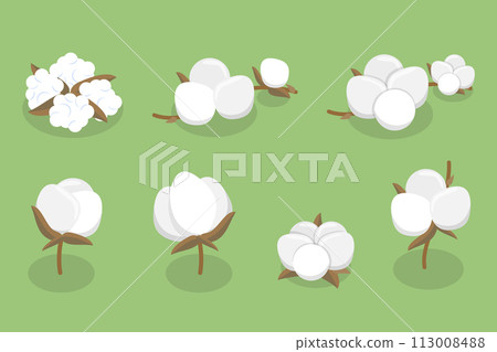 3D Isometric Flat Vector Illustration of Cotton Flower Collection, Pure and Organic Product 113008488
