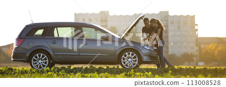 Young couple, handsome man and attractive woman at car with popped hood checking oil level in engine using dipstick on clear sky background. Transportation, vehicles problems and breakdowns concept. 113008528