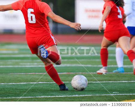 Female soccer player kicking the ball downfield Female soccer player kicking the ball downfield 113008556