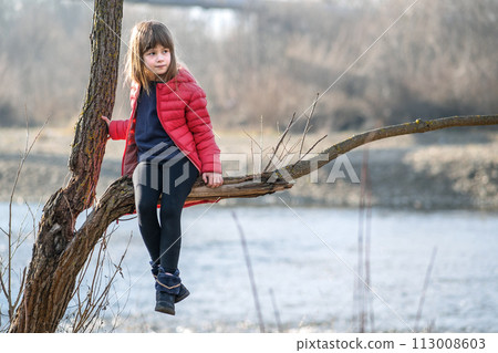 Portrait of a pretty child girl sitting on a tree branch in autumn outdoors. 113008603