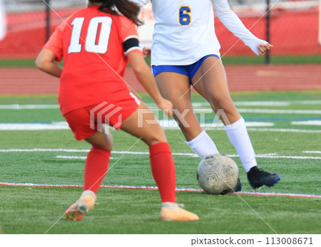 Two female soccer players fighting for possession of the soccer ball 113008671