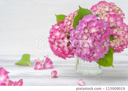 粉紅色繡球花佈置 113009019