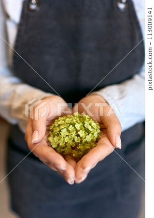 Close-up of young woman holding green flower 113009141