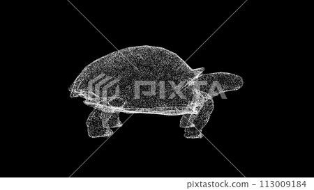 3D Turtle on black background. Underwater Marine World concept. Marine fauna. Business advertising backdrop. For title, text, presentation. 3d animation 3D Turtle on black background. Underwater Marine World concept. Marine fauna. Business advertising backdrop. For title, text, presentation. 3d animation 113009184