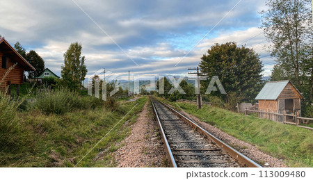 A train tracks with trees and grass in sunny day 113009480