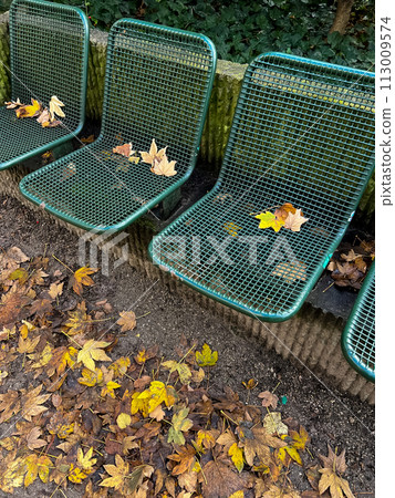 Close-up of green metal mesh seats in a scenic autumn park setting 113009574